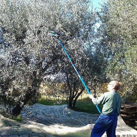 Agriturismo B And B Rifugio Dei Sogni Волтера Екстериор снимка