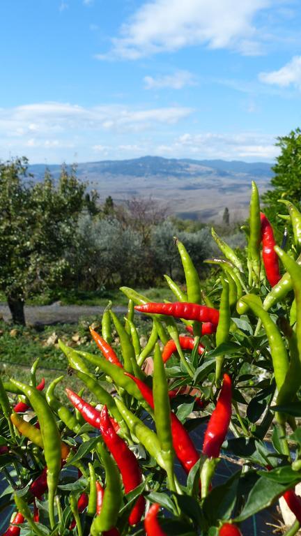 Agriturismo B And B Rifugio Dei Sogni Волтера Екстериор снимка