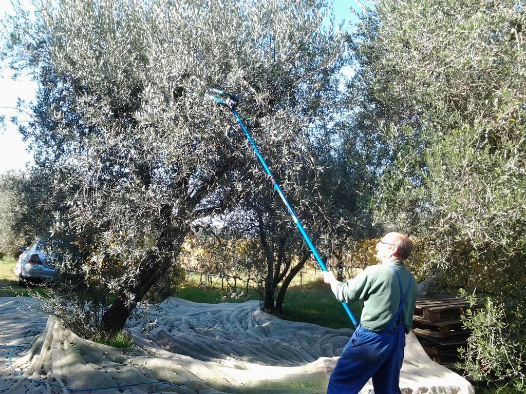 Agriturismo B And B Rifugio Dei Sogni Волтера Екстериор снимка